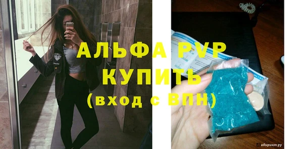 гидра Абаза