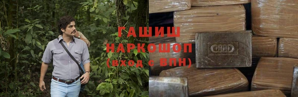 гидра Абаза