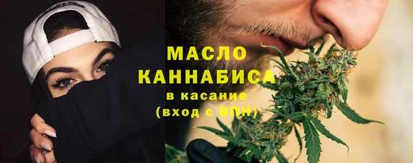 гидра Абаза