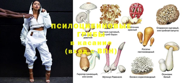 гидра Абаза