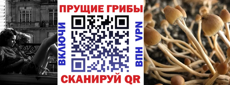 где купить наркоту  Новосибирск  Галлюциногенные грибы Magic Shrooms 