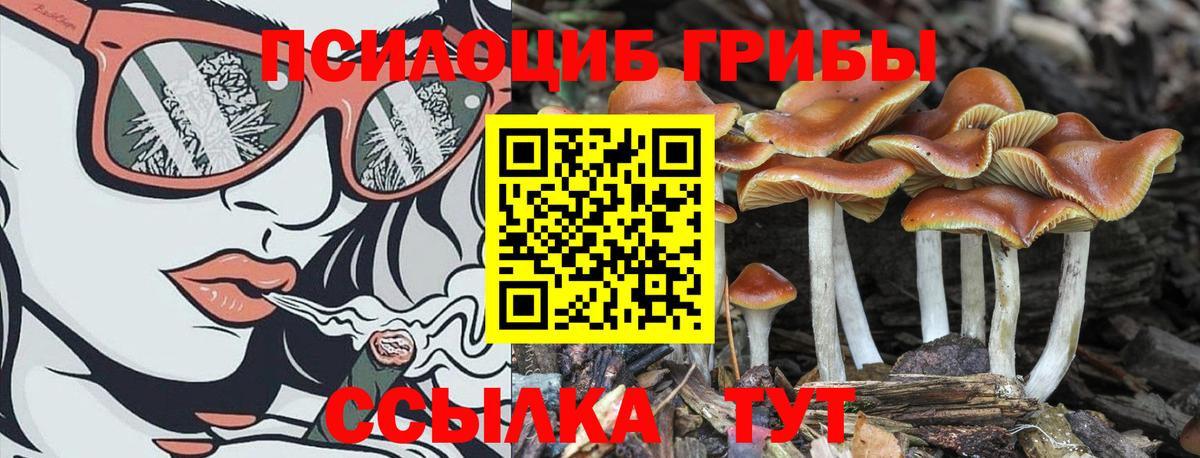 Псилоцибиновые грибы мухоморы  Псилоцибиновые грибы прущие грибы  Новосибирск  Вход с VPN 