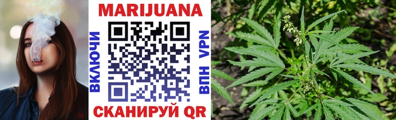 даркнет клад Новосибирск Марихуана Amnesia цены